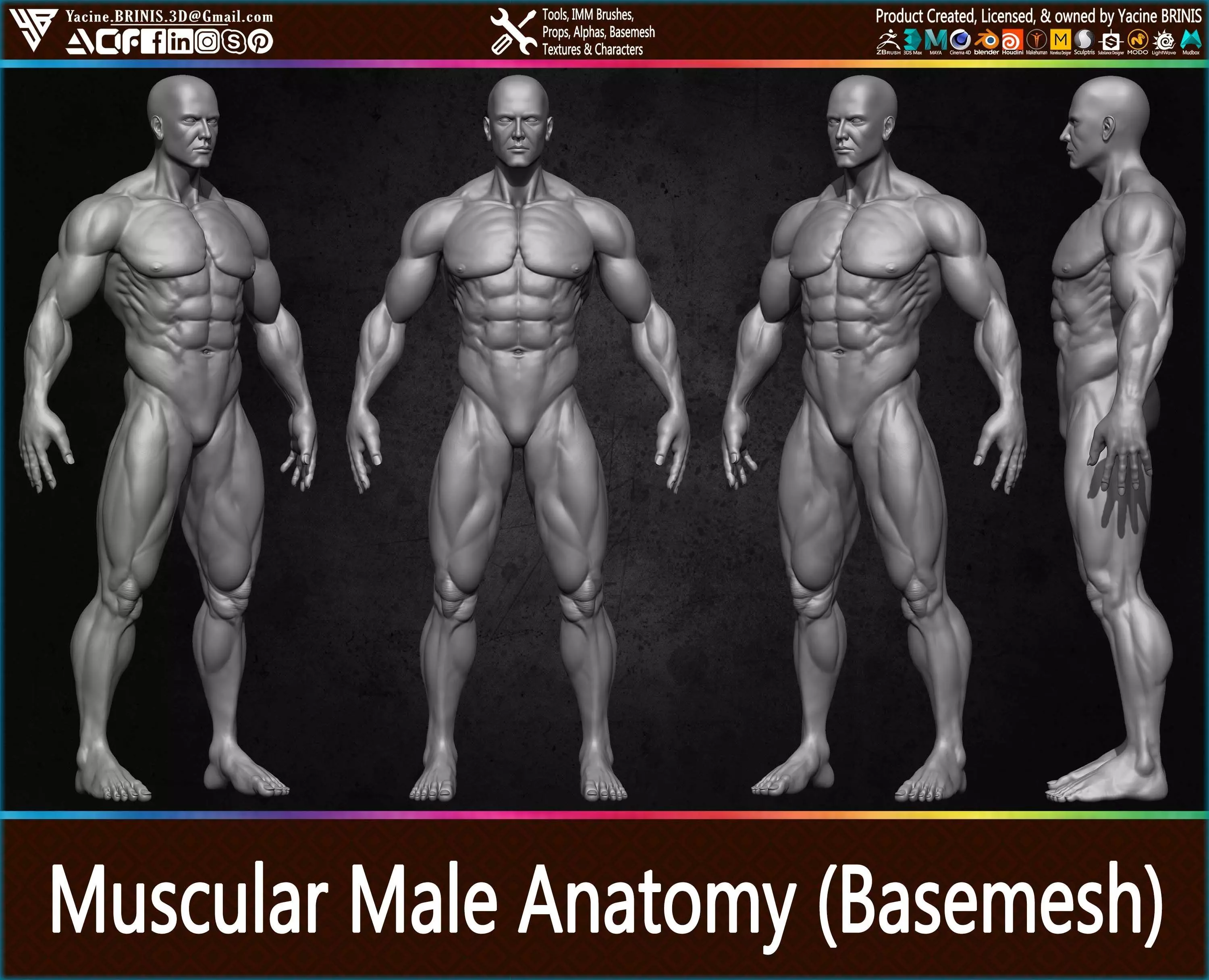 Muscular Human Anatomy Human base mesh Low-poly 3D model_0