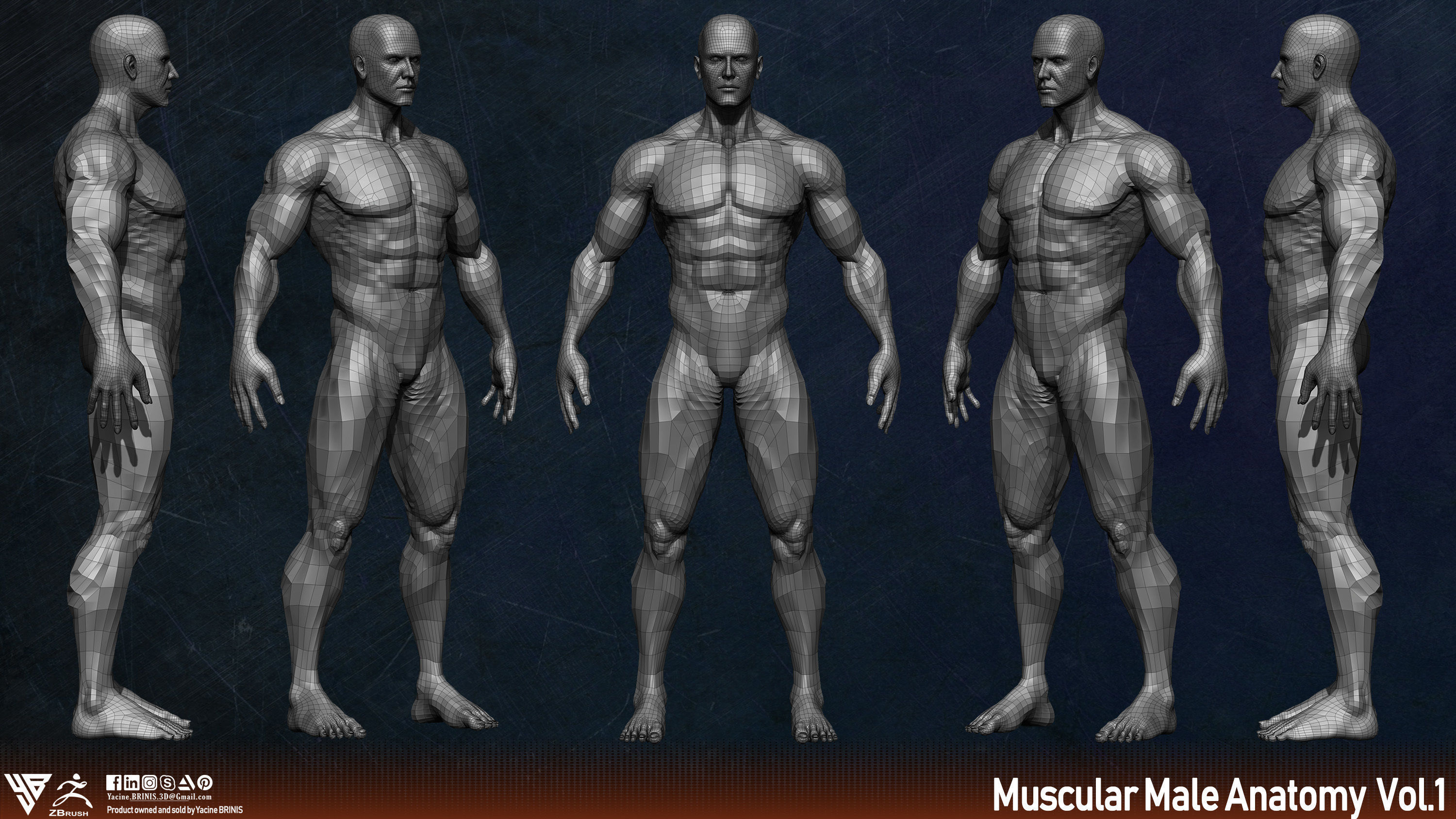 Muscular Human Anatomy Human base mesh Low-poly 3D model_4