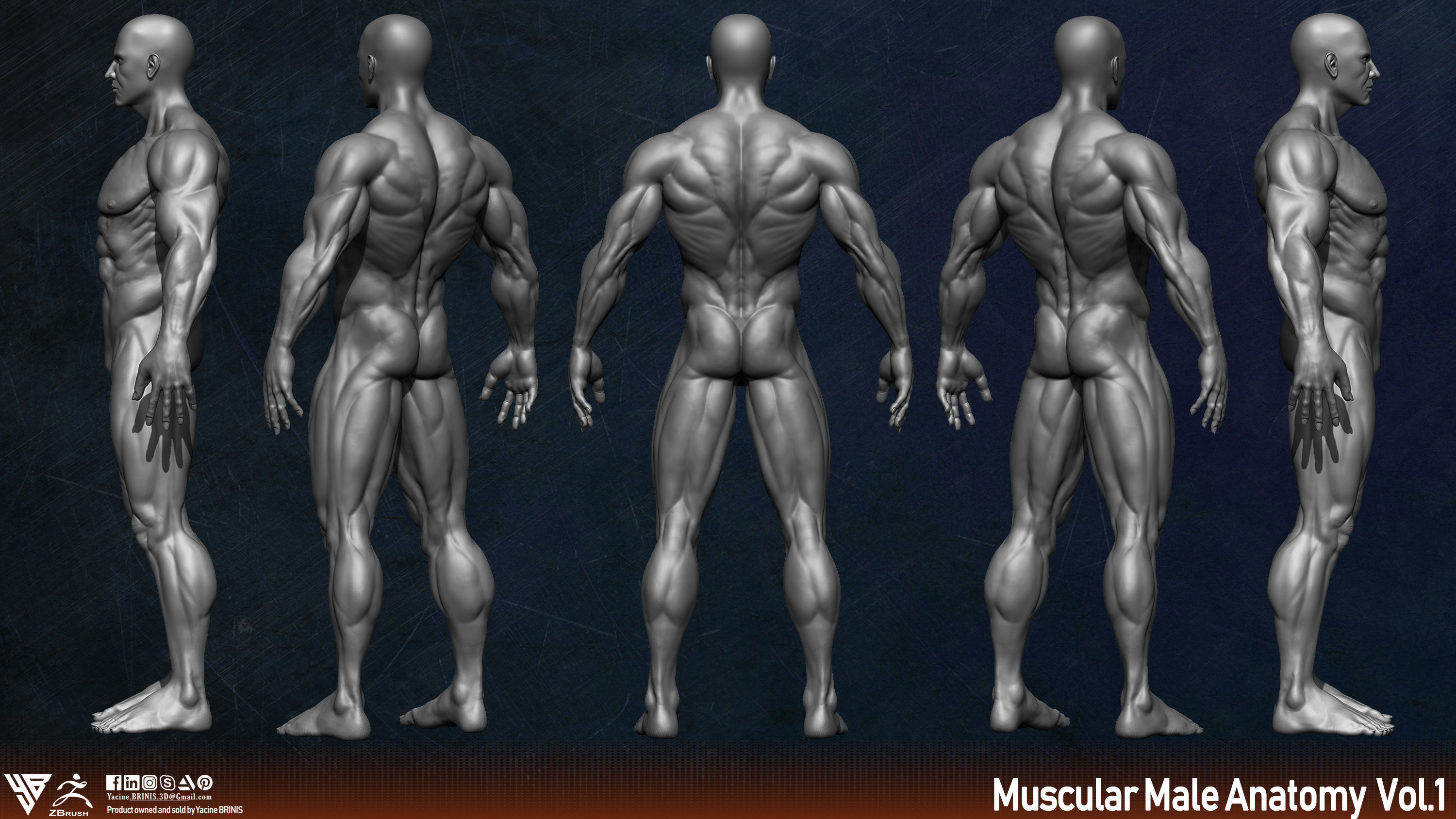 Muscular Human Anatomy Human base mesh Low-poly 3D model_3