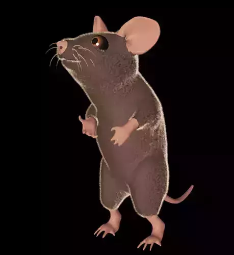 3D Mouse in pose