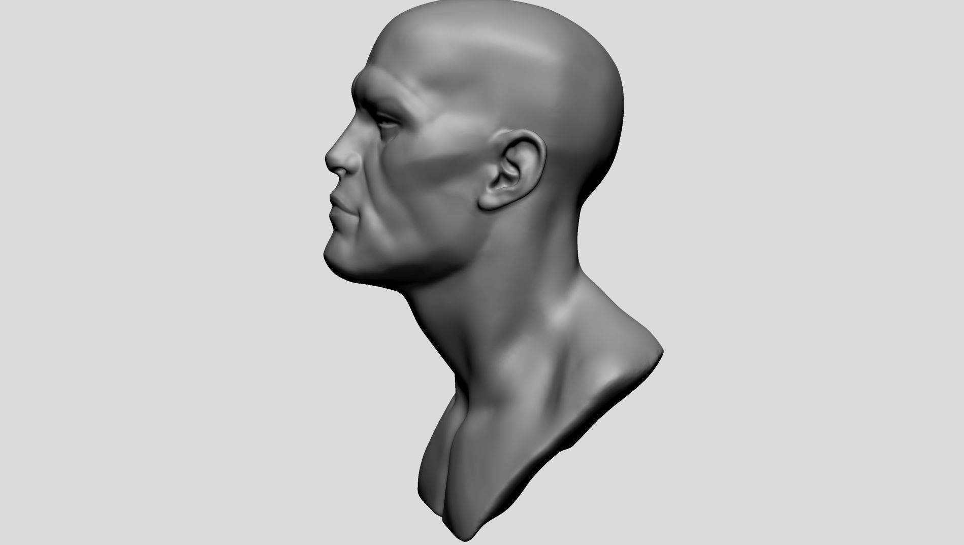 Base Male Head A 3D model_6