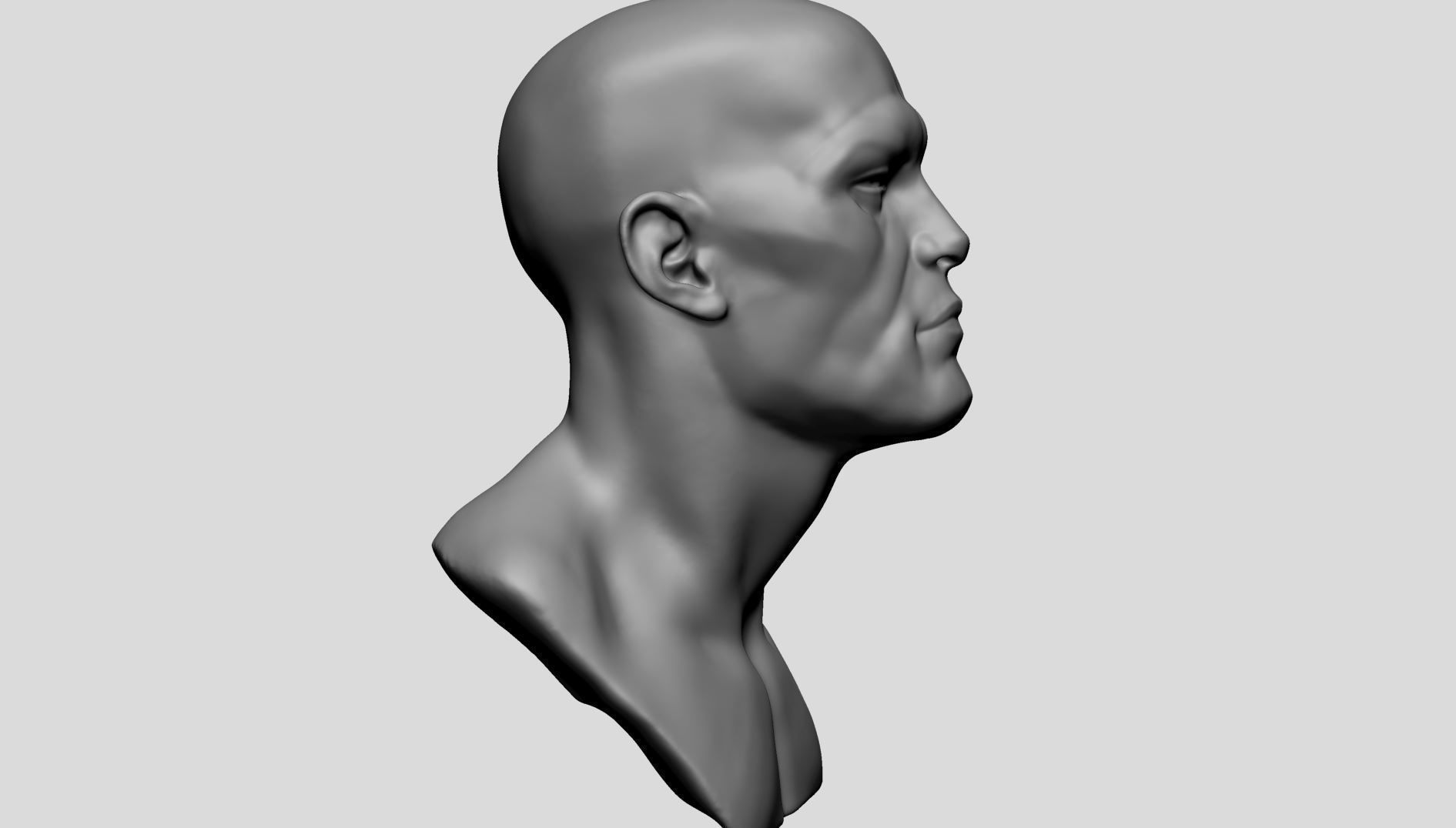 Base Male Head A 3D model_1