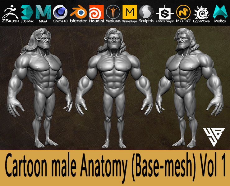 Cartoon male Anatomy Base-mesh Vol 01 Low-poly 3D model_8