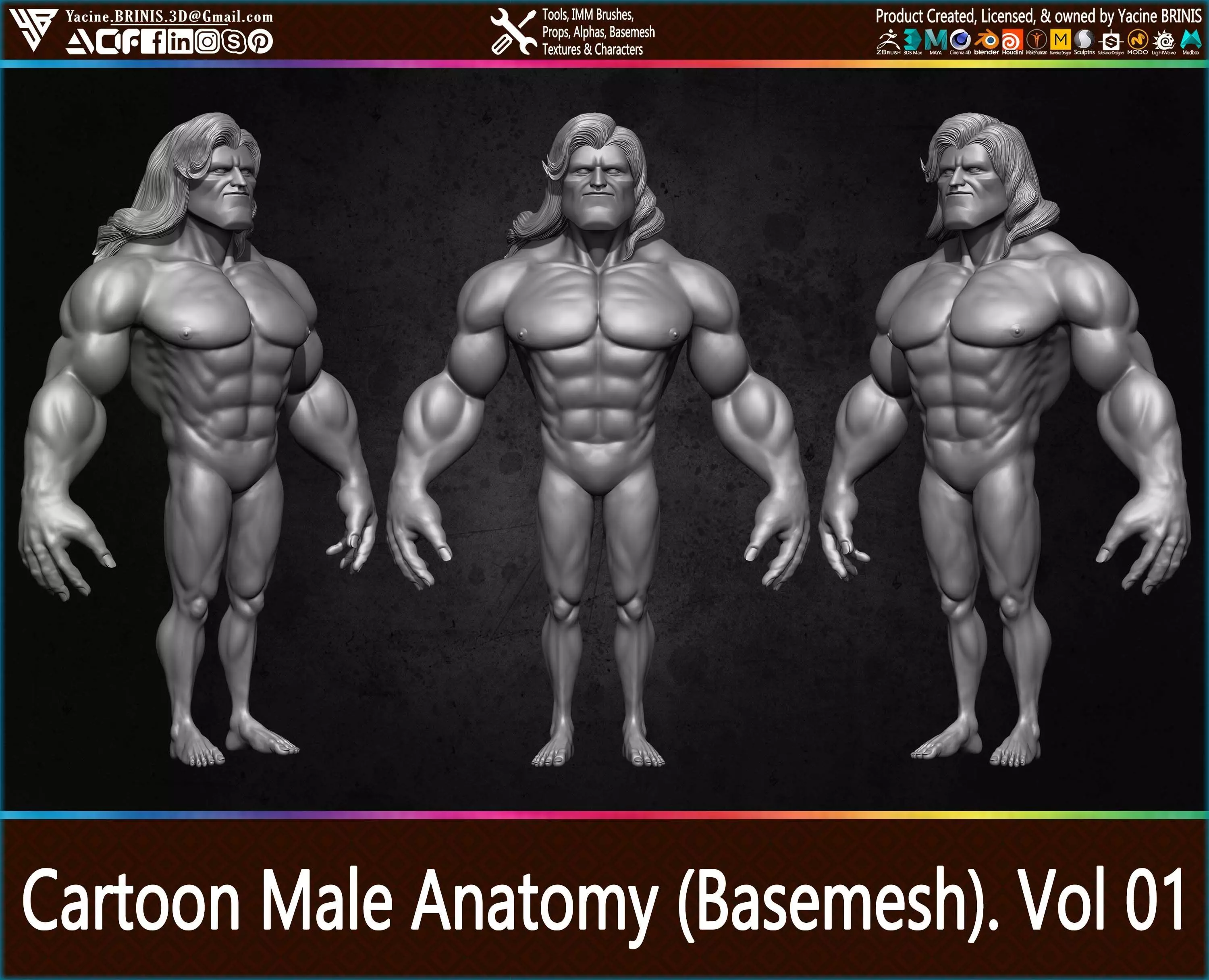 Cartoon male Anatomy Base-mesh Vol 01 Low-poly 3D model_0