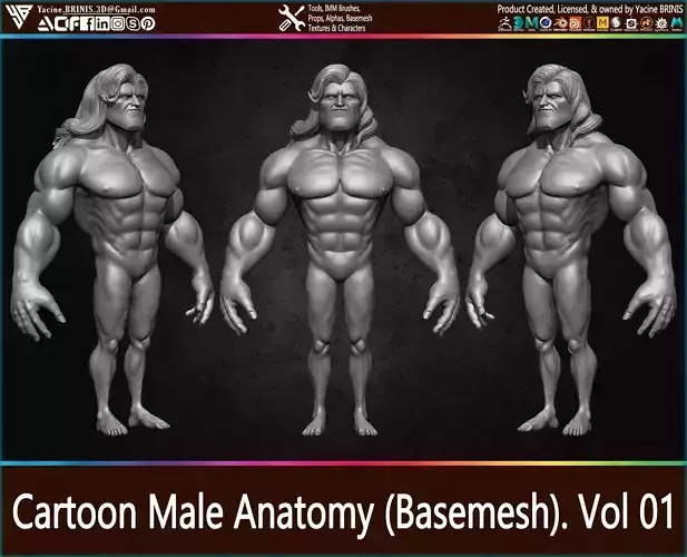 Cartoon male Anatomy Base-mesh Vol 01 Low-poly 3D model