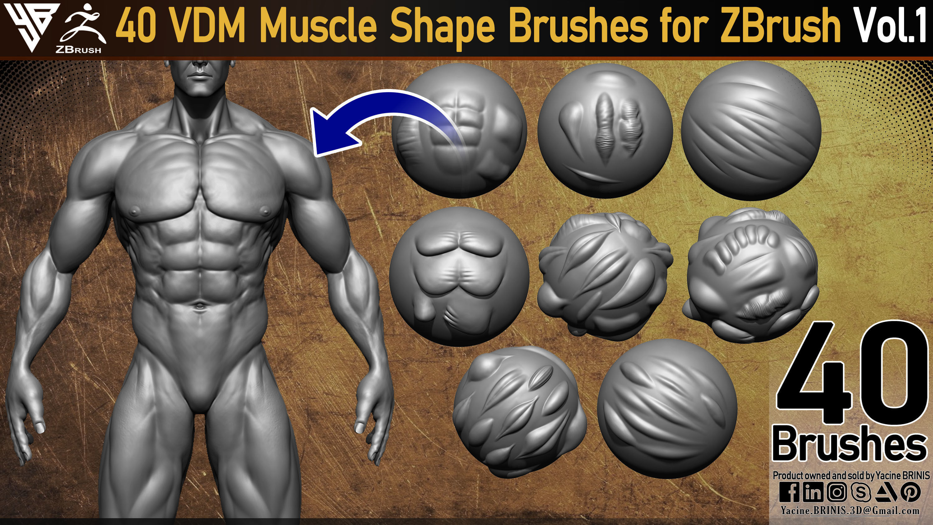 40 VDM Muscle Shape Brushes for ZBrush Vol 01 Low-poly 3D model_2