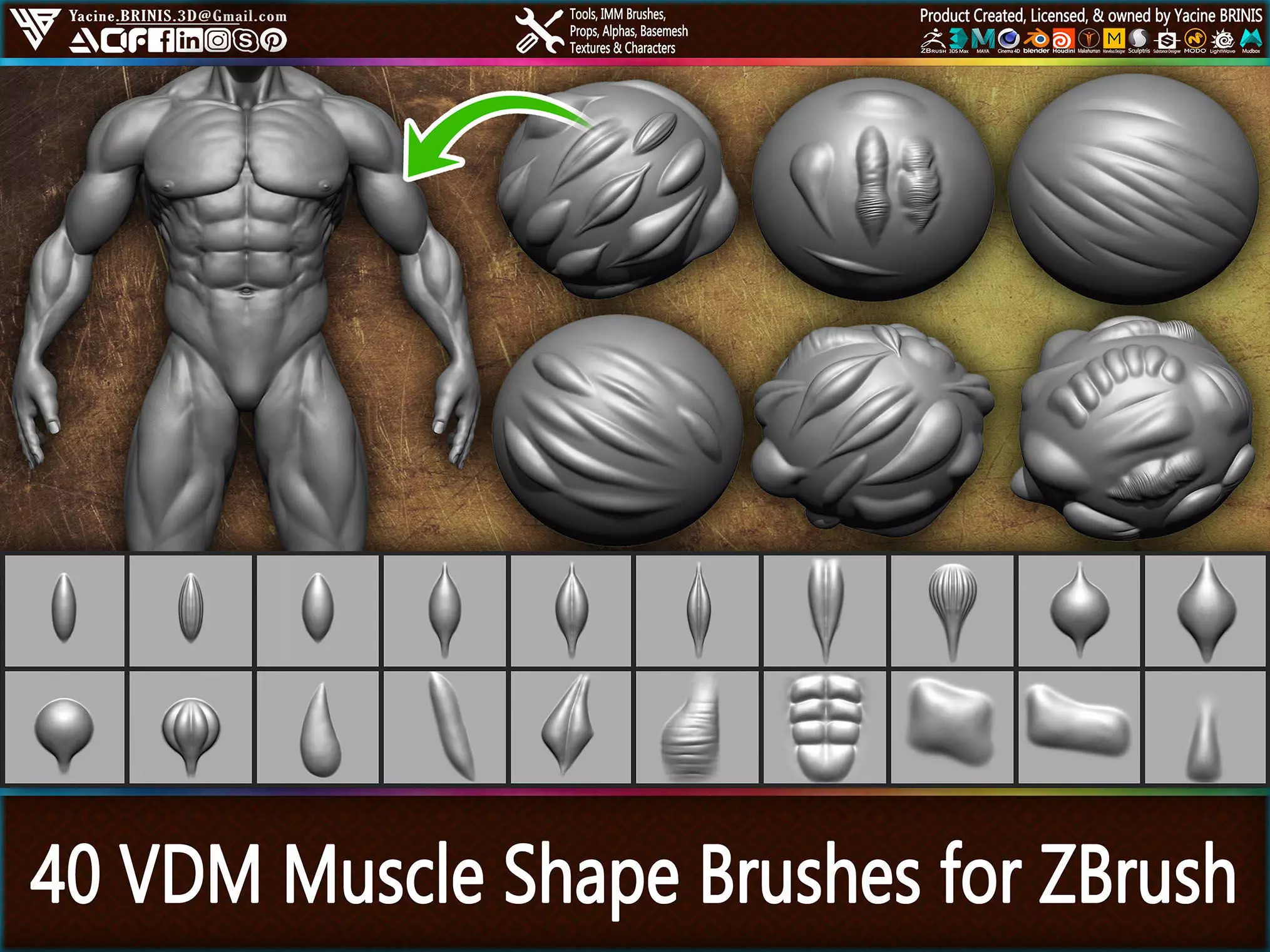 40 VDM Muscle Shape Brushes for ZBrush Vol 01 Low-poly 3D model_0