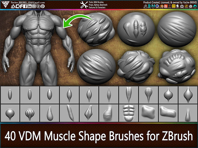 40 VDM Muscle Shape Brushes for ZBrush Vol 01 Low-poly 3D model
