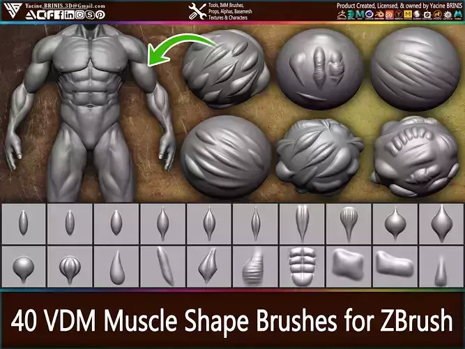 40 VDM Muscle Shape Brushes for ZBrush Vol 01 Low-poly 3D model