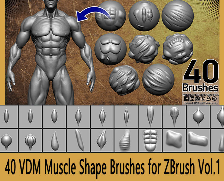 40 VDM Muscle Shape Brushes for ZBrush Vol 01 Low-poly 3D model_6