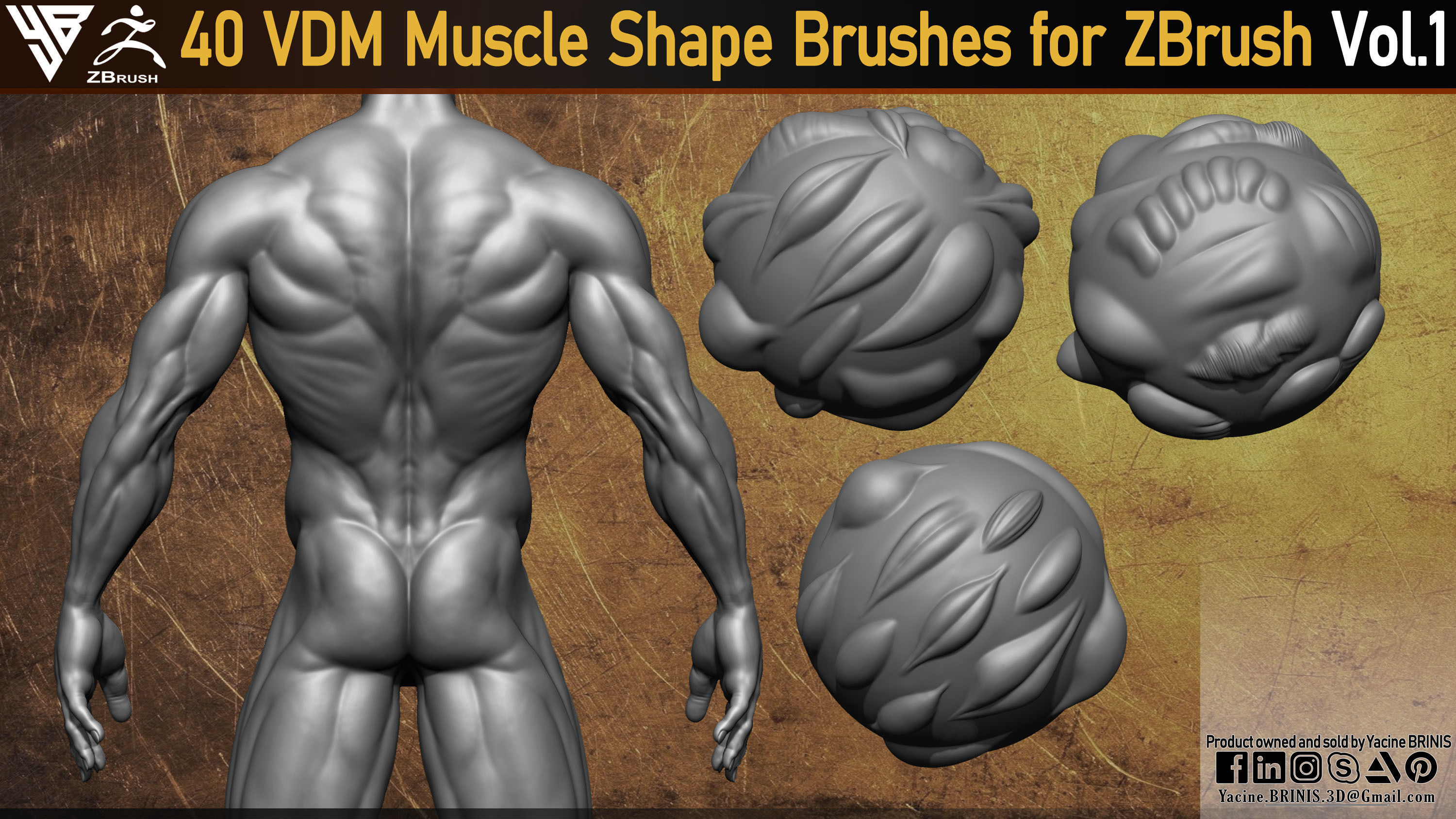 40 VDM Muscle Shape Brushes for ZBrush Vol 01 Low-poly 3D model_5