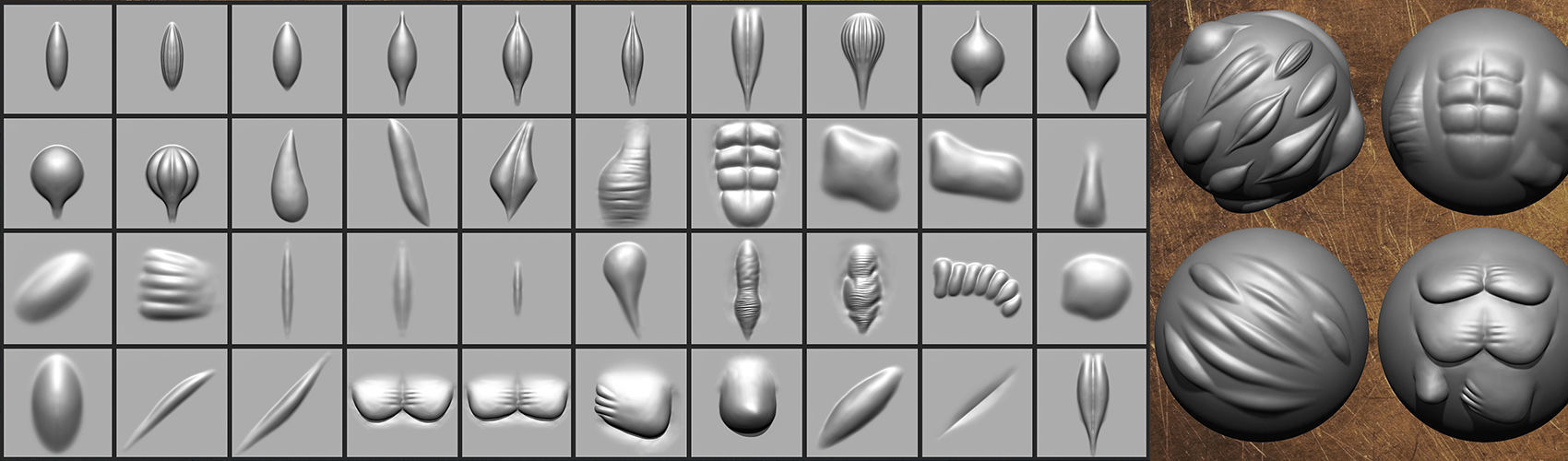 40 VDM Muscle Shape Brushes for ZBrush Vol 01 Low-poly 3D model_7