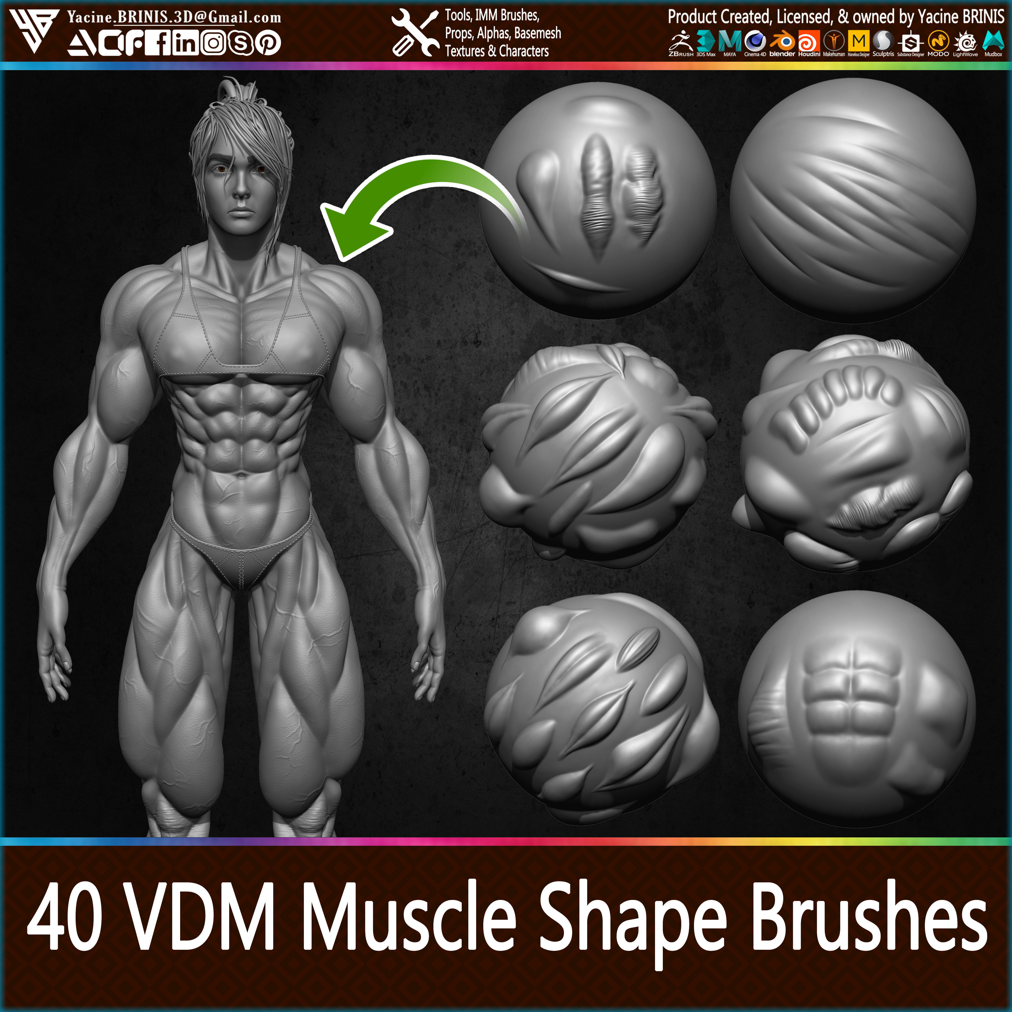 40 VDM Muscle Shape Brushes for ZBrush Vol 01 Low-poly 3D model_1