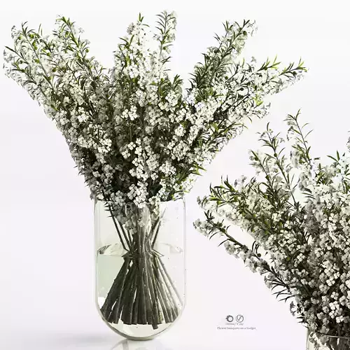 Bouquet  collection 17