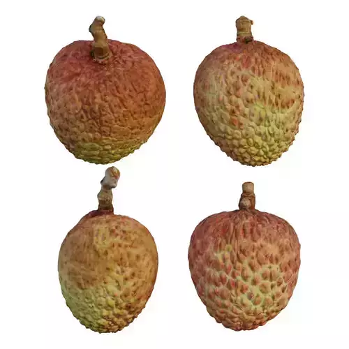 litchi fruit 03