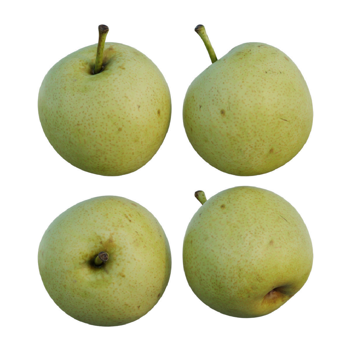 Pear 04 3D model_4