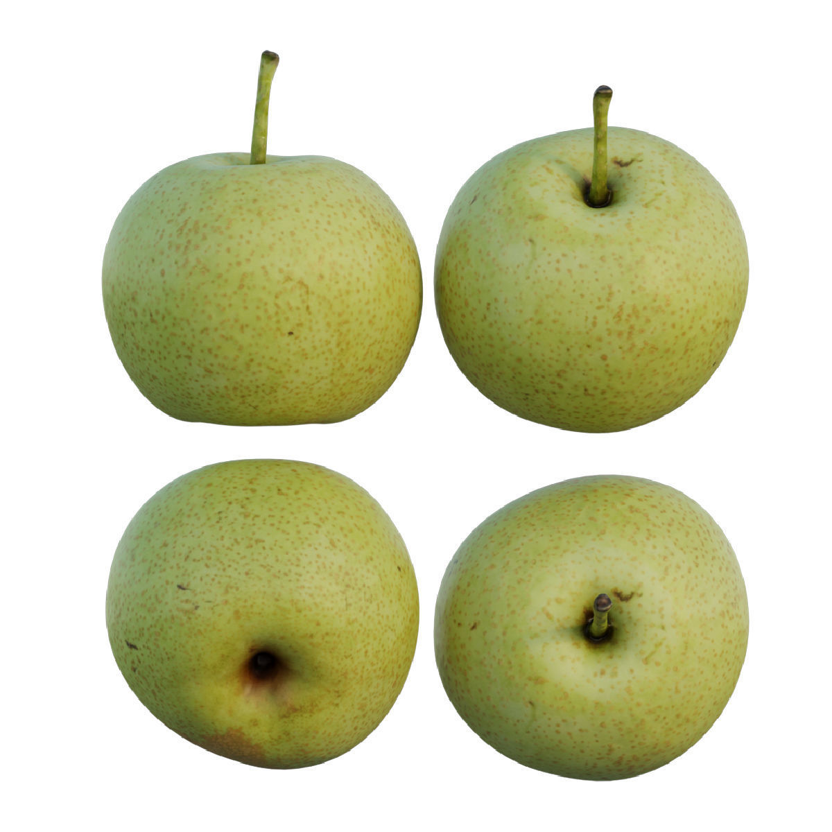 Pear 04 3D model_6