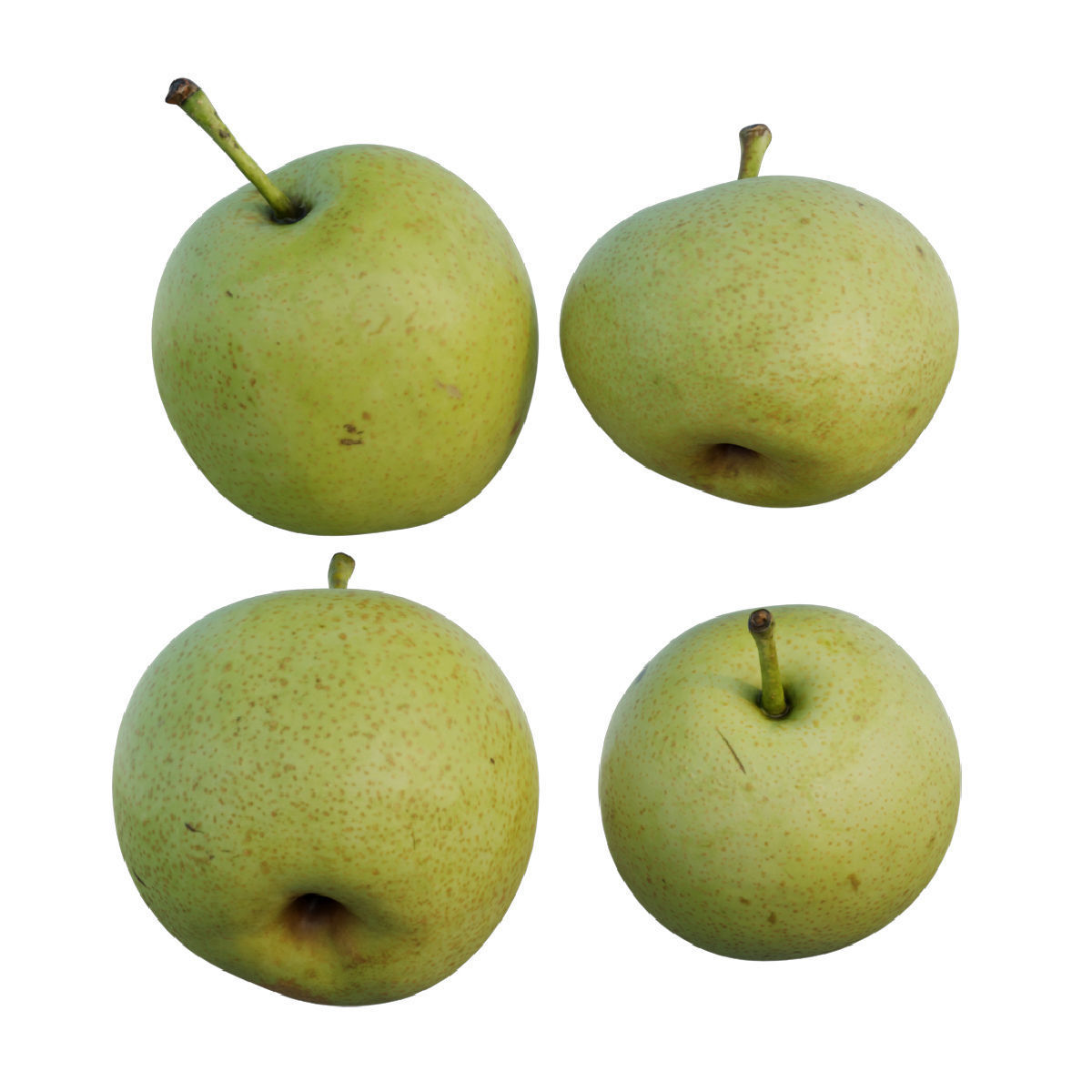 Pear 04 3D model_2