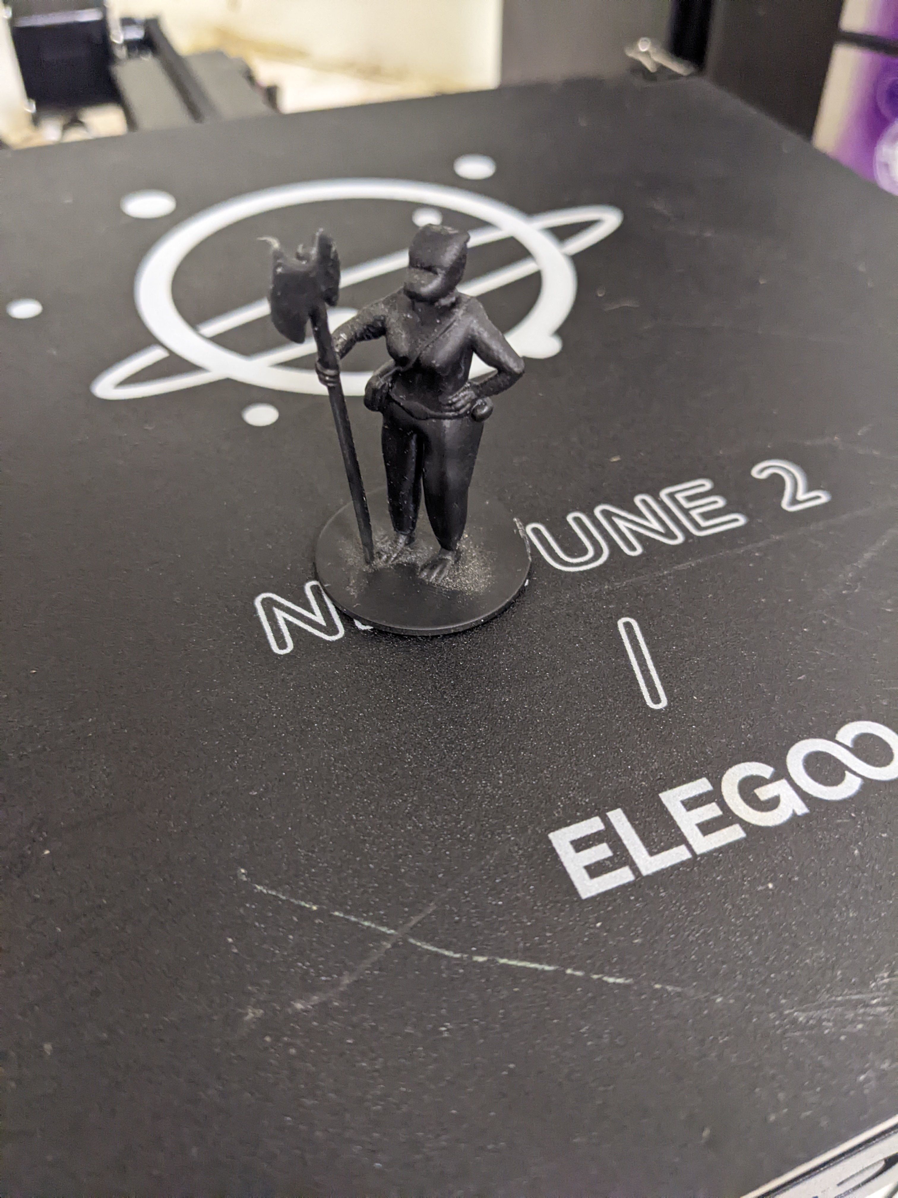 Female dragonborn barbarian 3D print model_3