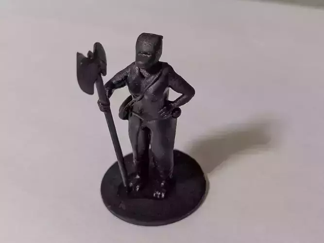 Female dragonborn barbarian 3D print model