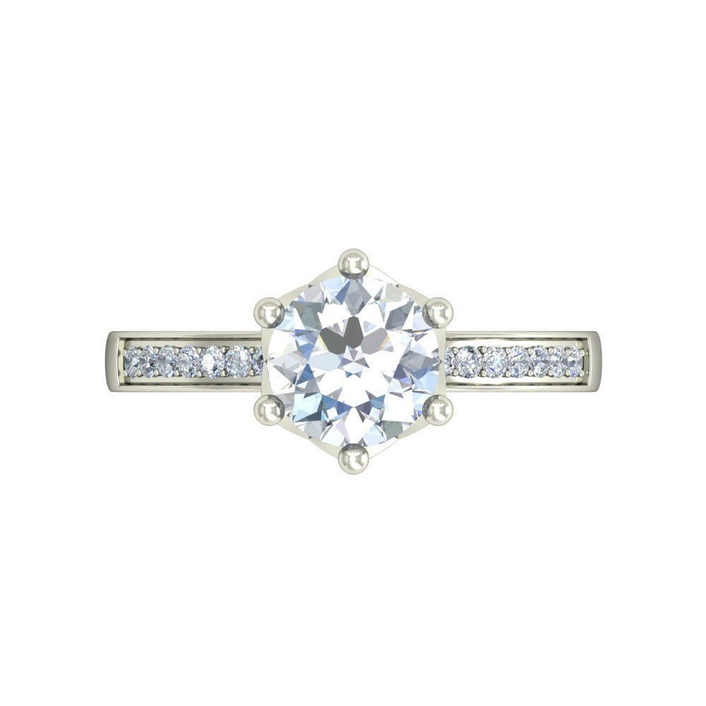 100 Rings 3D print model_40