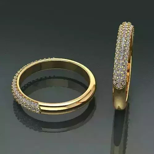 Ring Model 2064