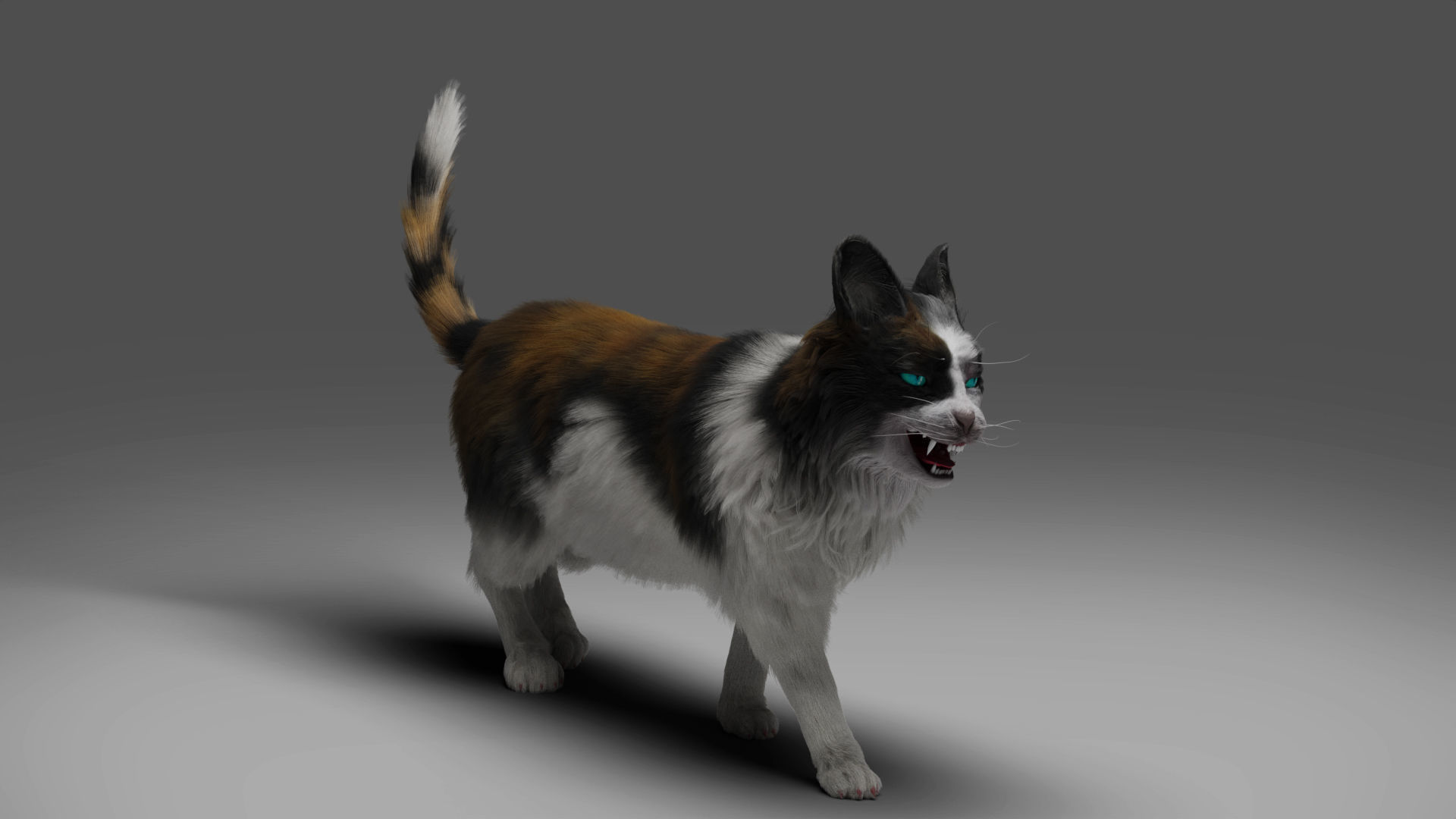 Fur Calico Cat Rigged 01 Low-poly 3D model_7