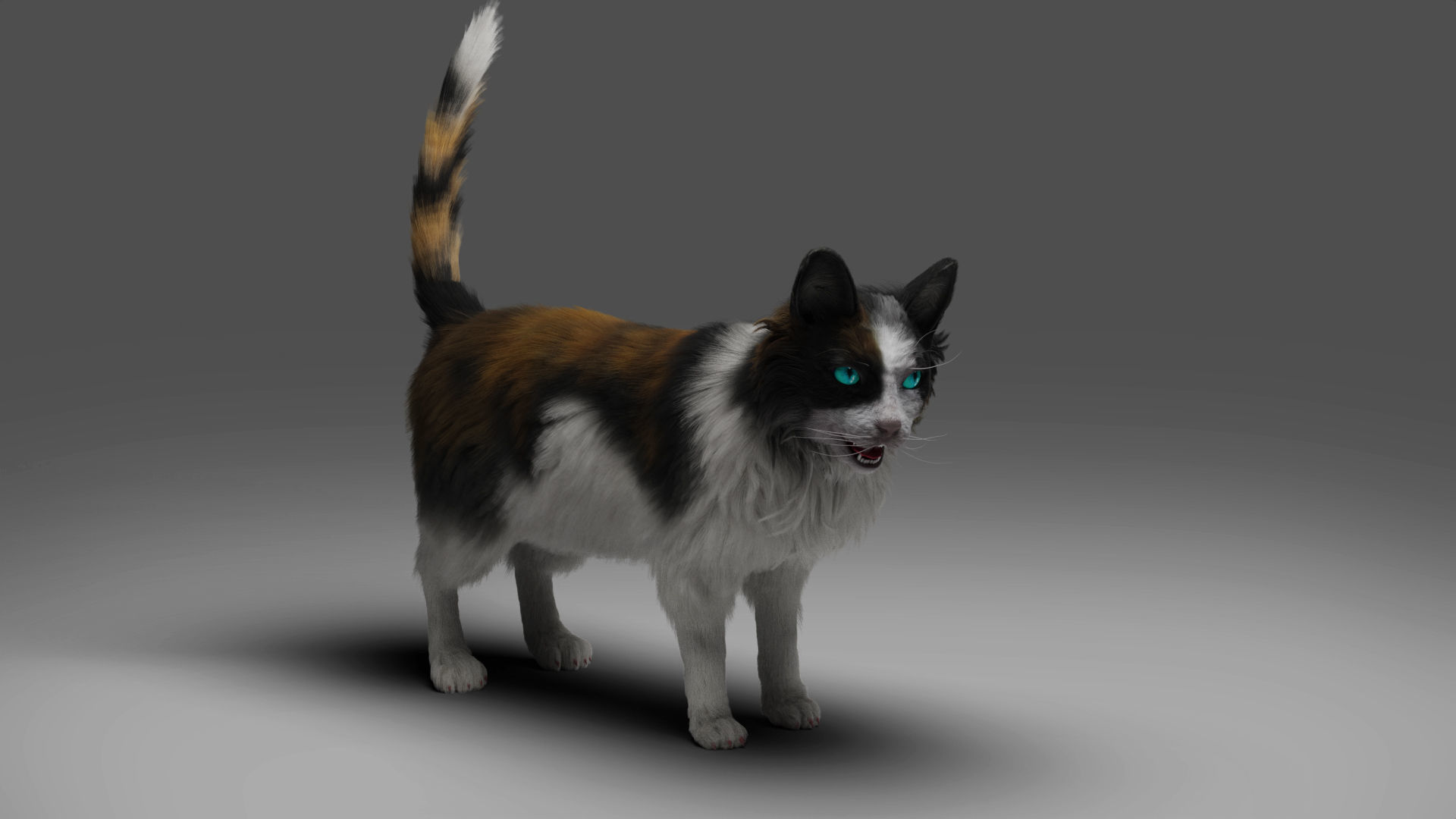 Fur Calico Cat Rigged 01 Low-poly 3D model_3