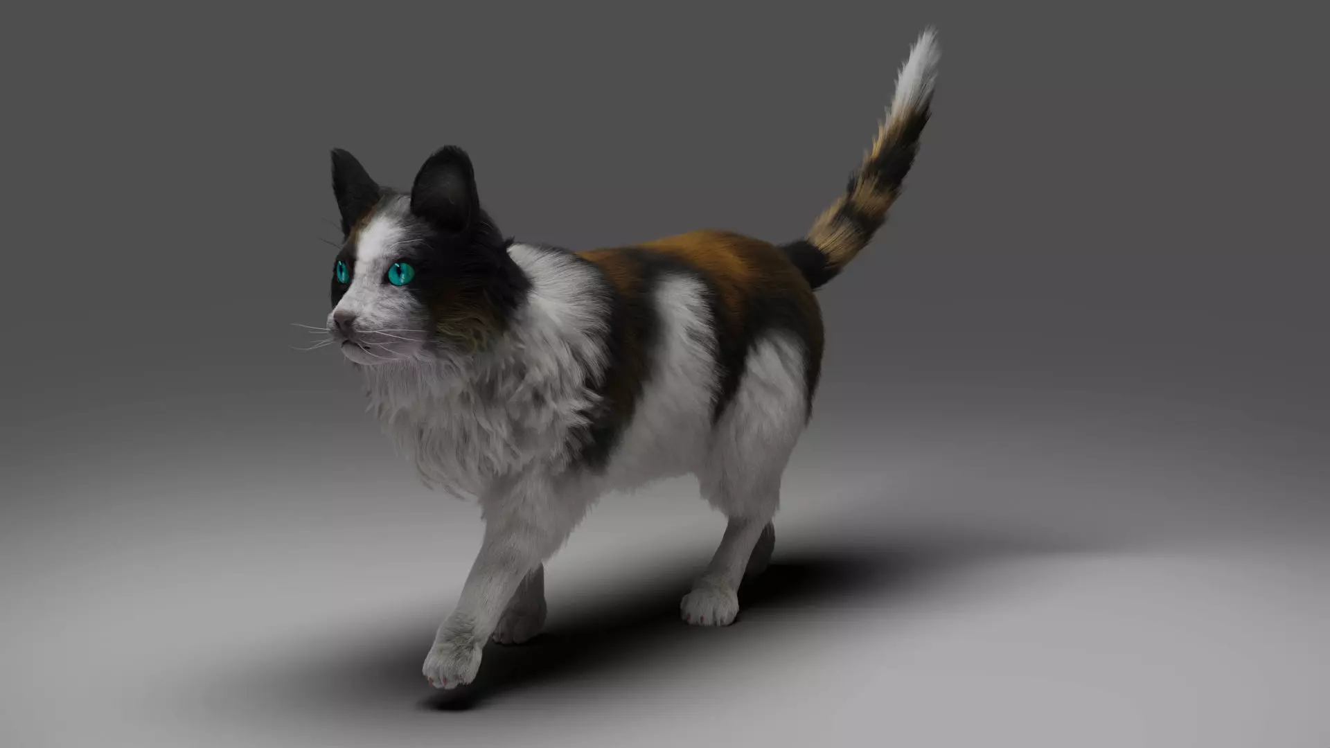 Fur Calico Cat Rigged 01 Low-poly 3D model_0