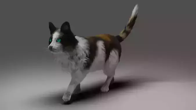Fur Calico Cat Rigged 01