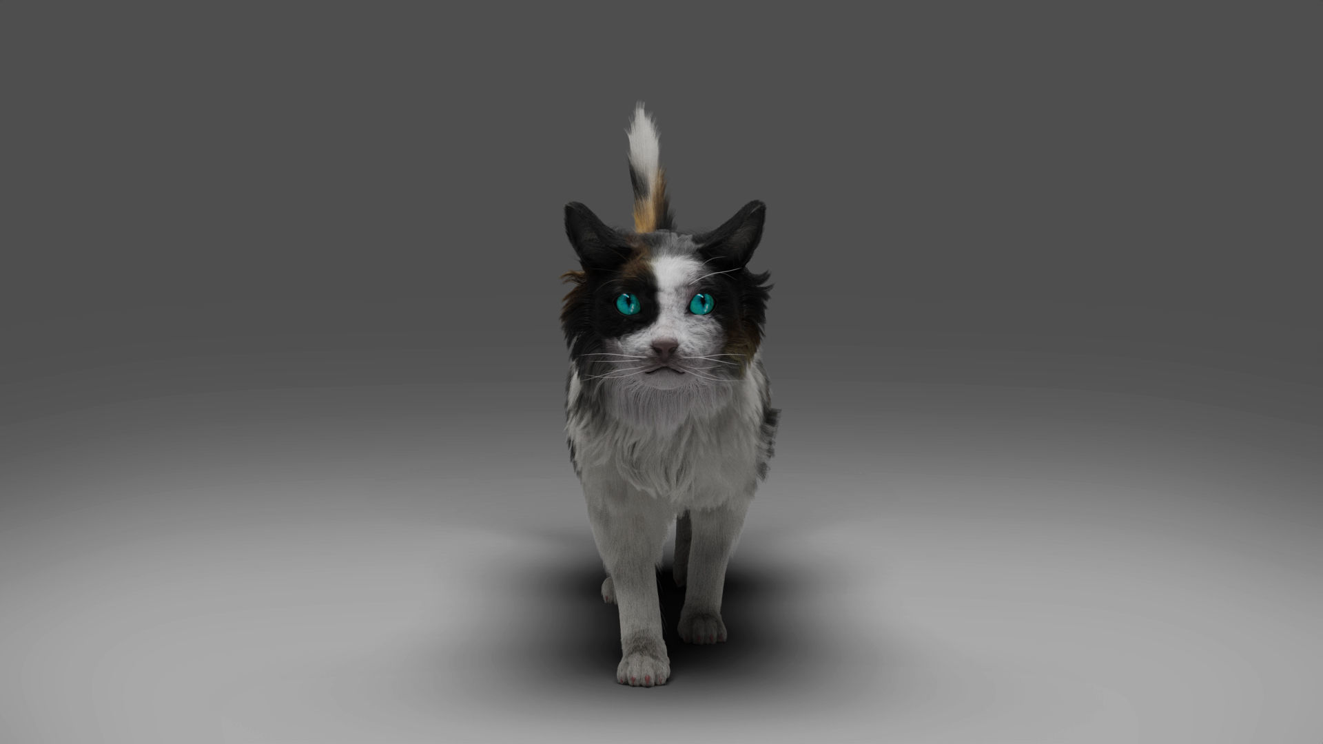Fur Calico Cat Rigged 01 Low-poly 3D model_6