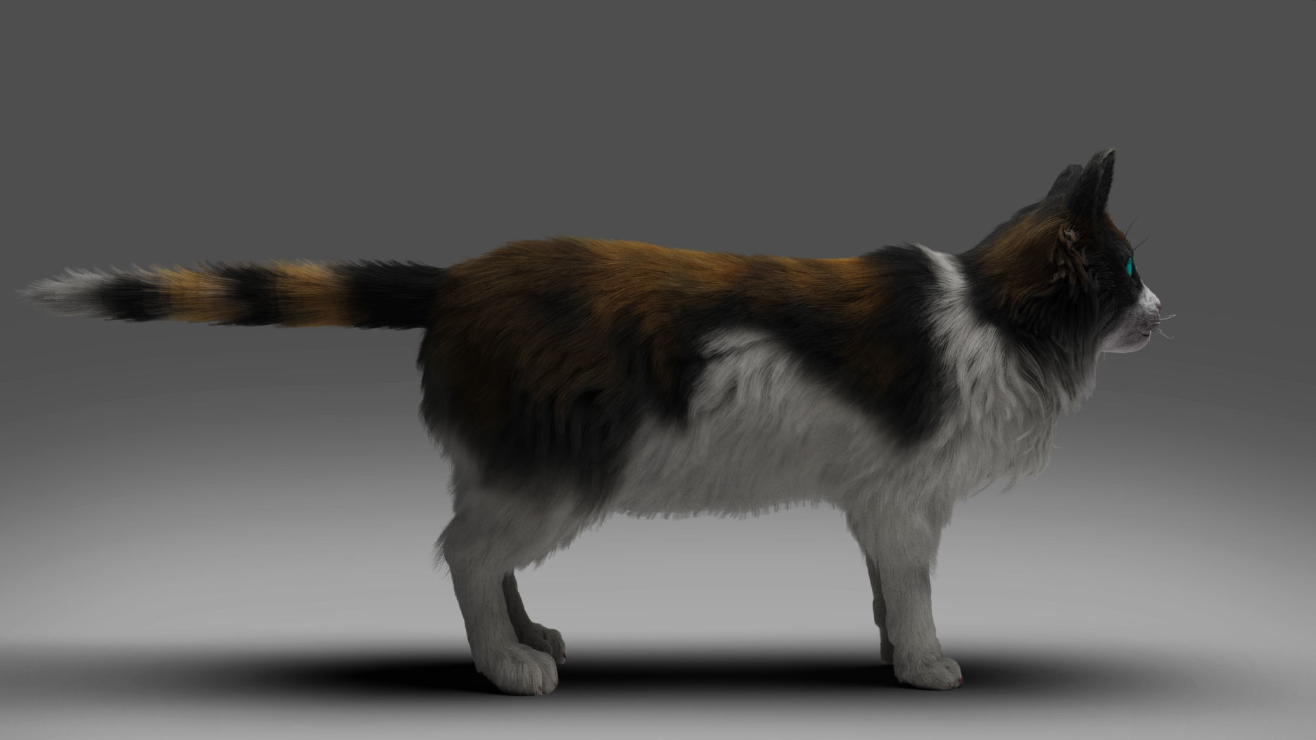Fur Calico Cat Rigged 01 Low-poly 3D model_4