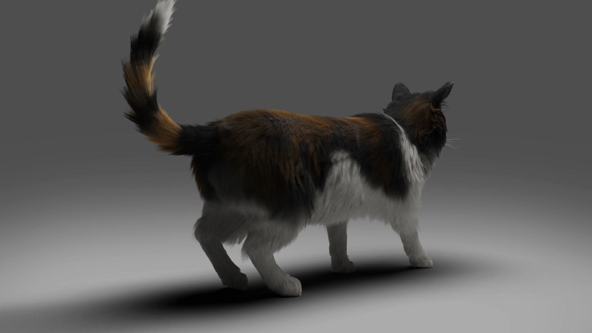 Fur Calico Cat Rigged 01 Low-poly 3D model_5