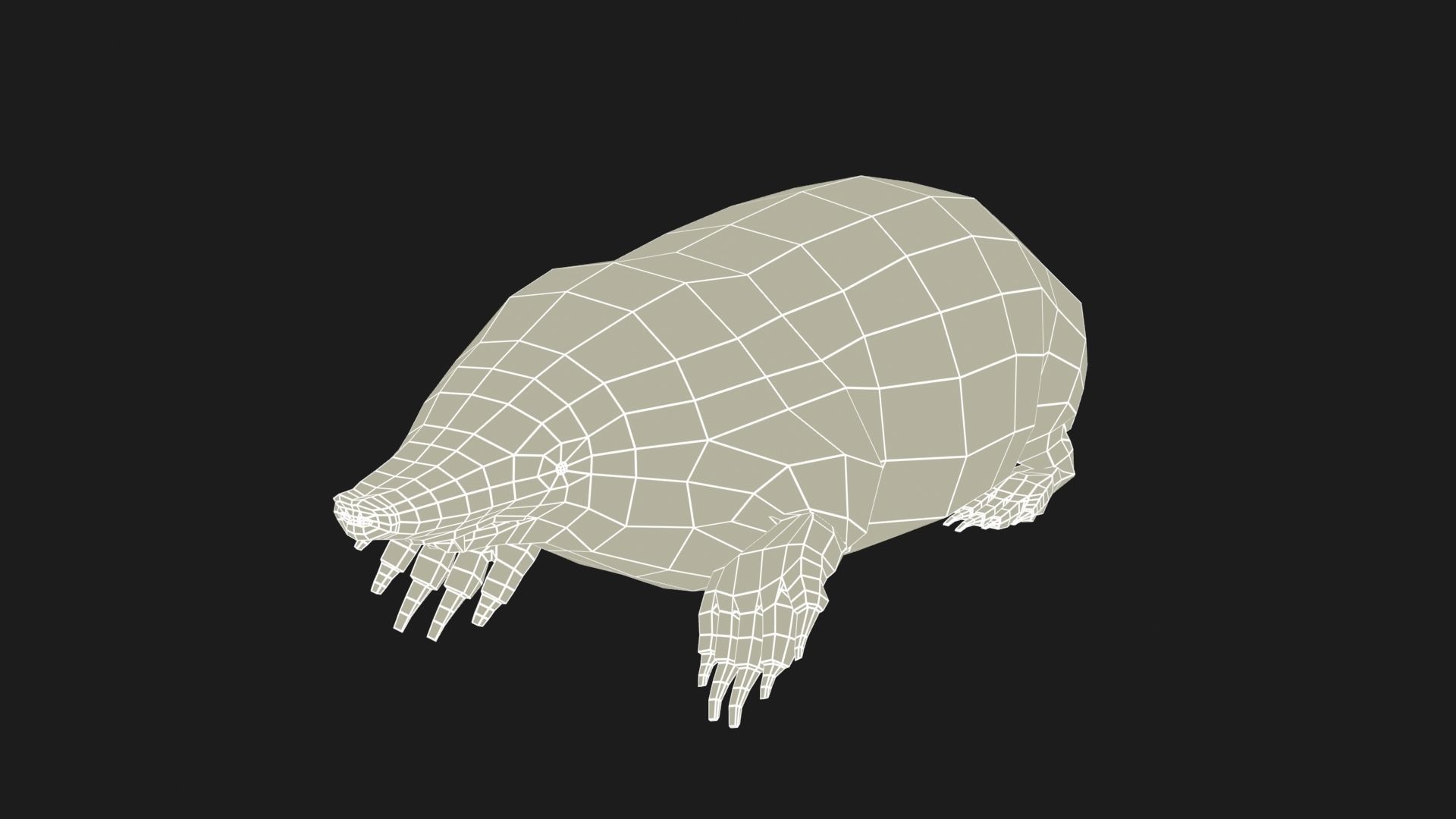 Mole Rigged Low-poly 3D model_7