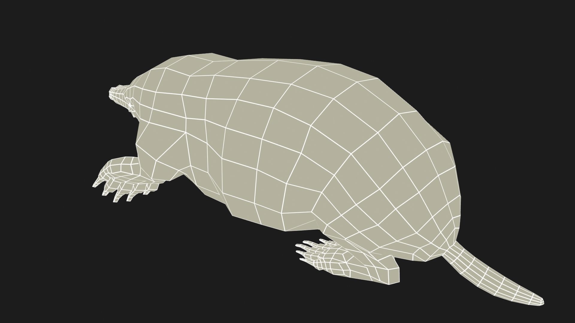 Mole Rigged Low-poly 3D model_8
