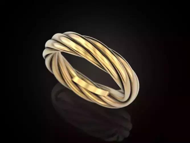 Ring rope 2 3D print model