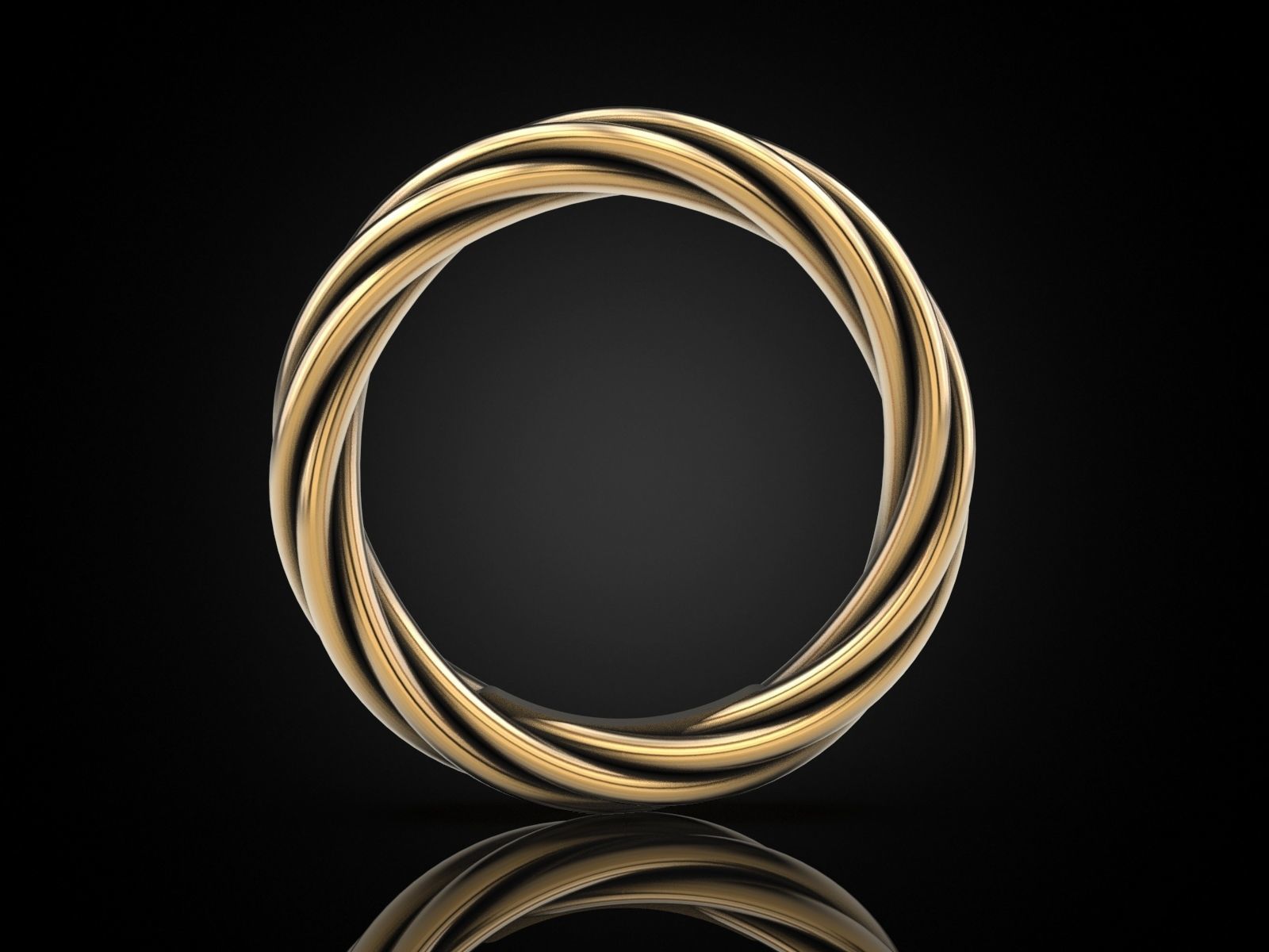Ring rope 2 3D print model_1