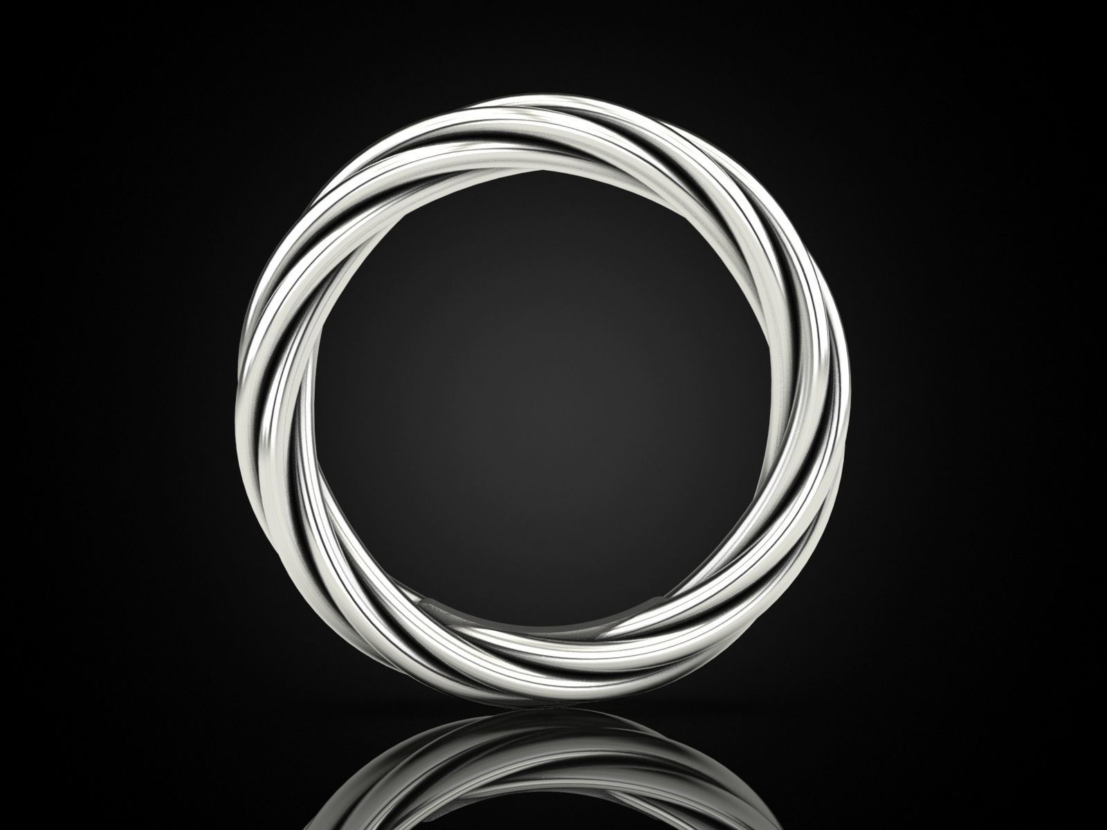 Ring rope 2 3D print model_3