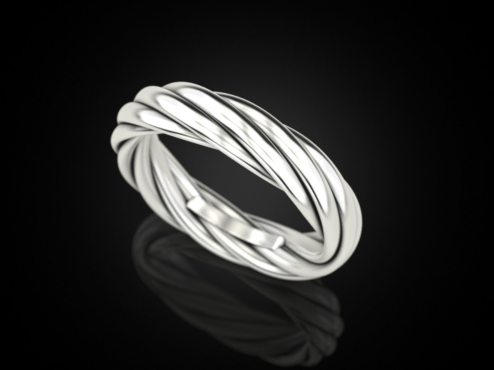 Ring rope 2 3D print model_2
