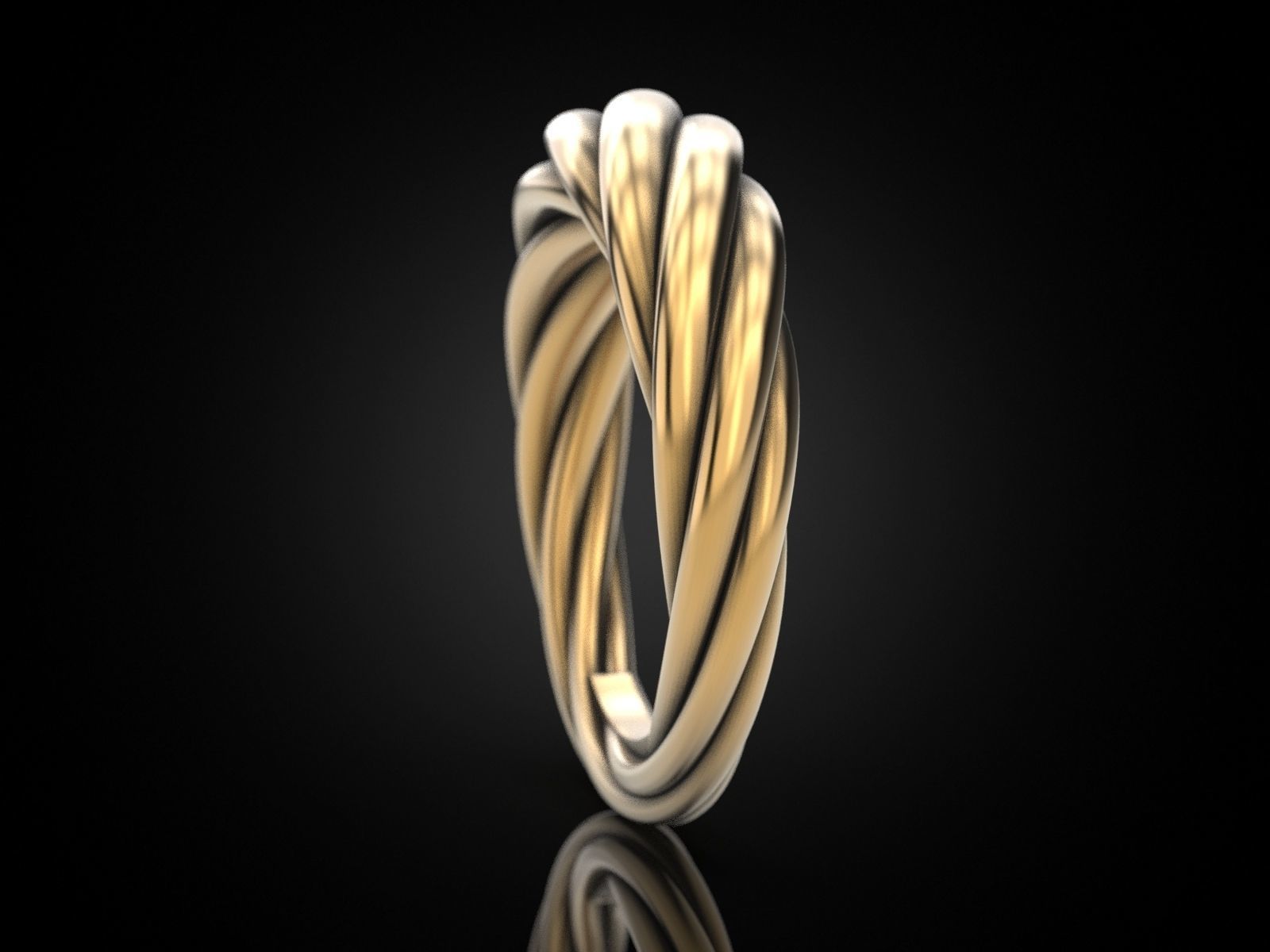 Ring rope 3 3D print model_1