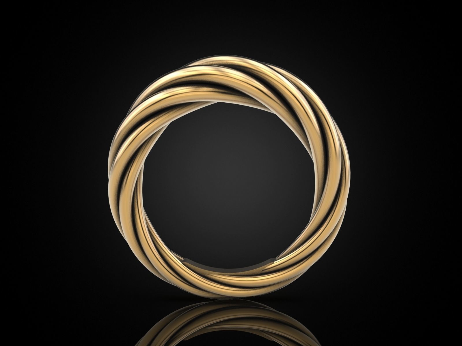 Ring rope 3 3D print model_2