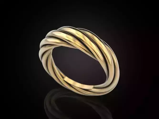 Ring rope 3 3D print model