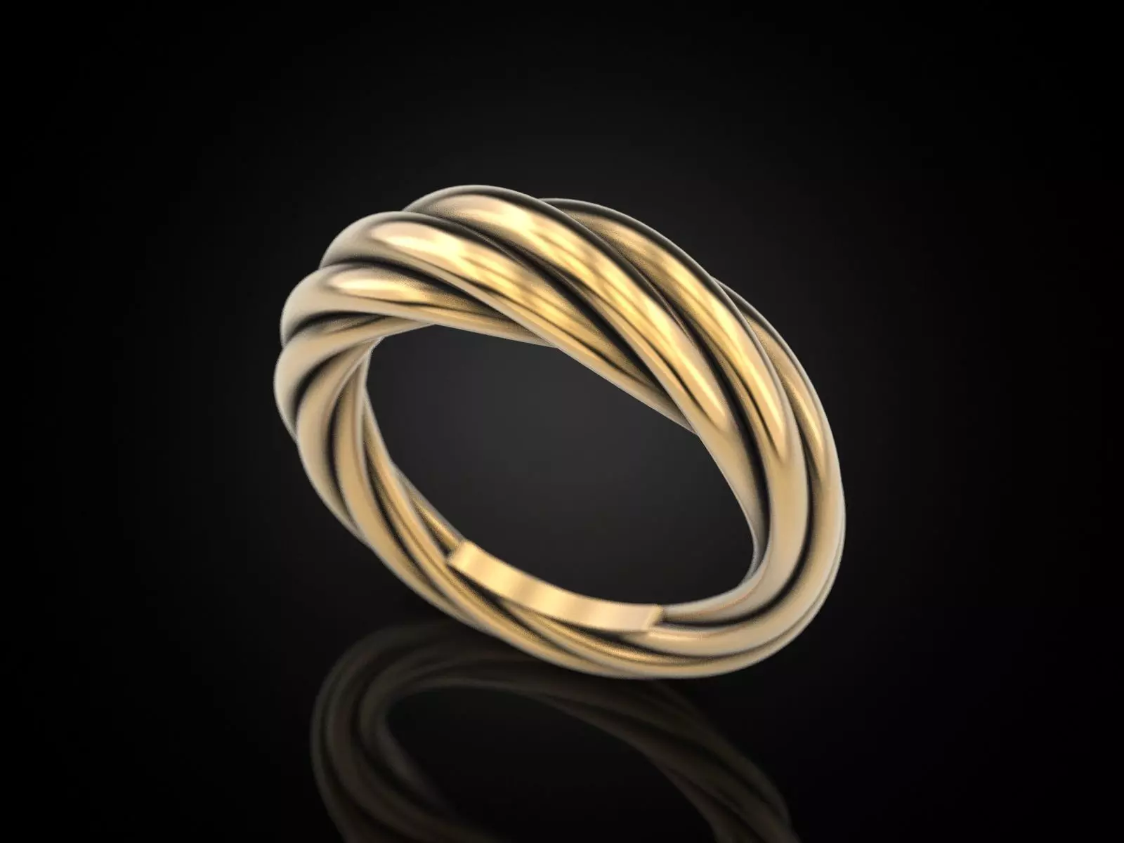 Ring rope 3 3D print model_0
