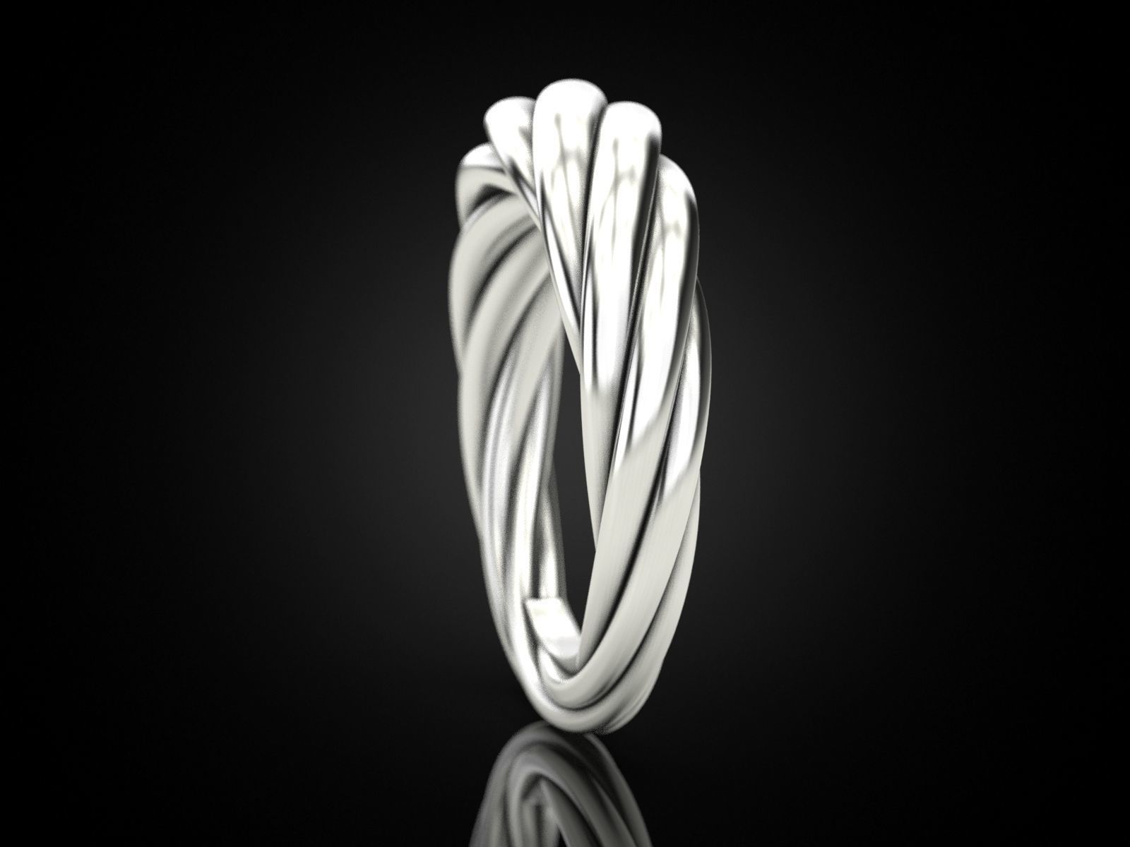 Ring rope 3 3D print model_4