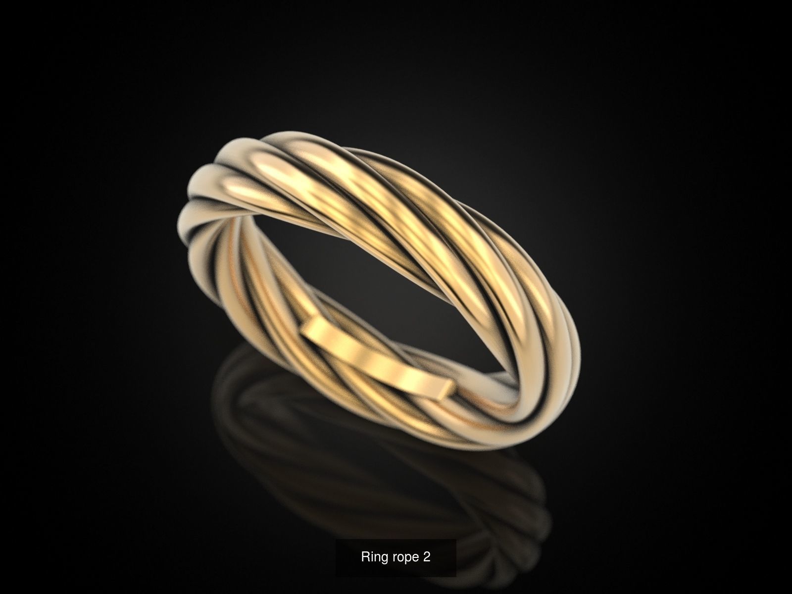 Collection ring rope _8