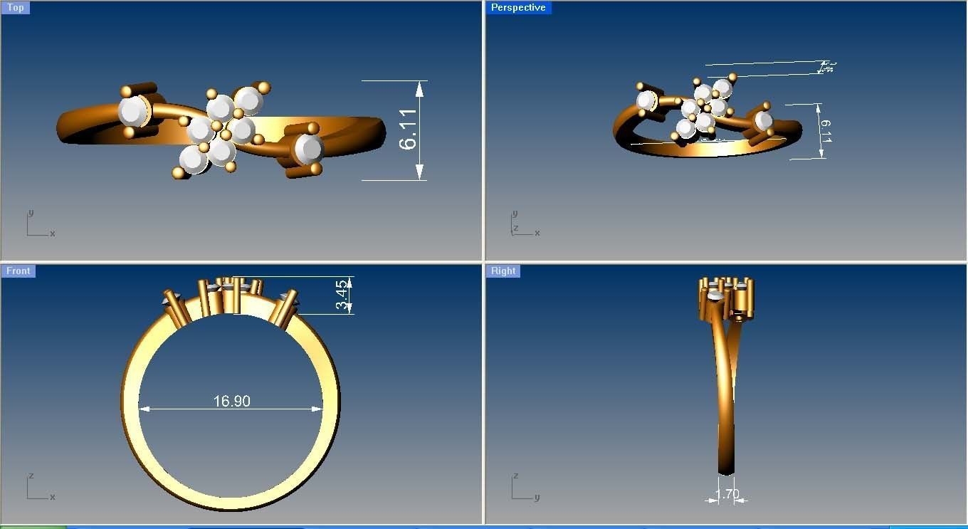 Minimalist Ring 365 3D print model_6