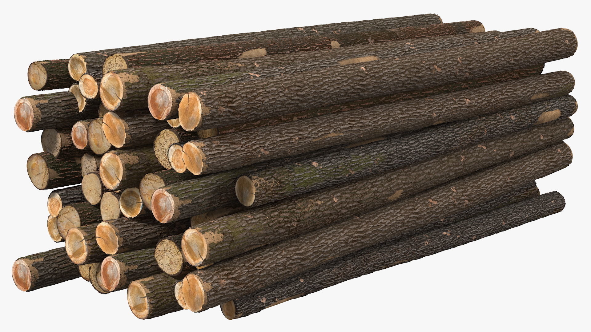 Einride Electric Autonomous Logging Truck Rigged 3D model_19