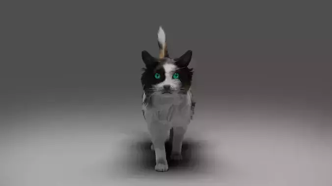 Fur Calico Cat No Rigged