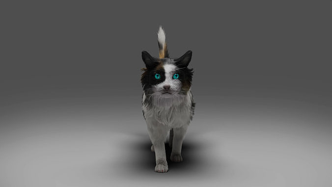 Fur Calico Cat No Rigged Low-poly 3D model