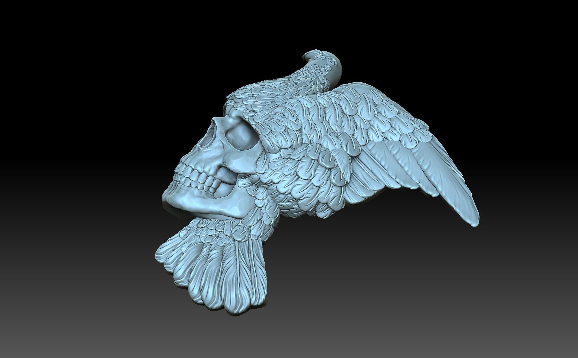 Pigeon with a skull 3D print model_7
